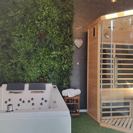 Holiday home Le De Lou Whirlpool Bath - Sauna - Patio 2 Guests *